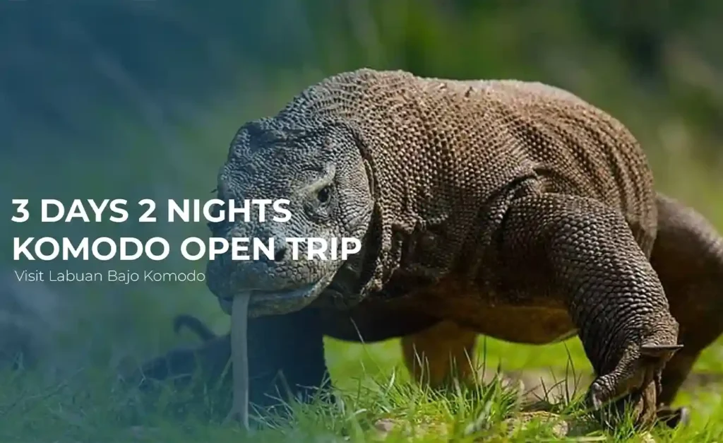 3 Days 2 Nights Komodo Open Trip