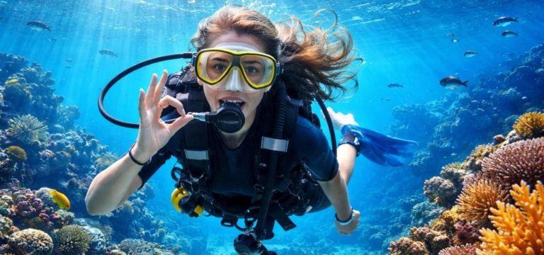 Dive Experience in Komodo – An Unforgettable Underwater Adventure