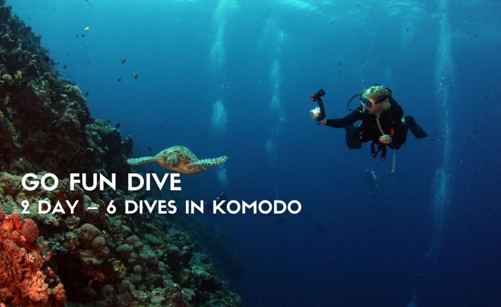 Go Fun Dive 2 Days – 6 Dives in Komodo Island