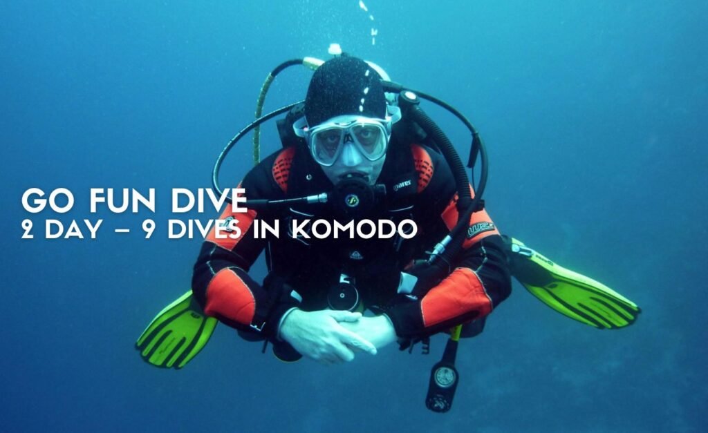 Go Fun Dive 3 Days – 9 Dives in Flores Island