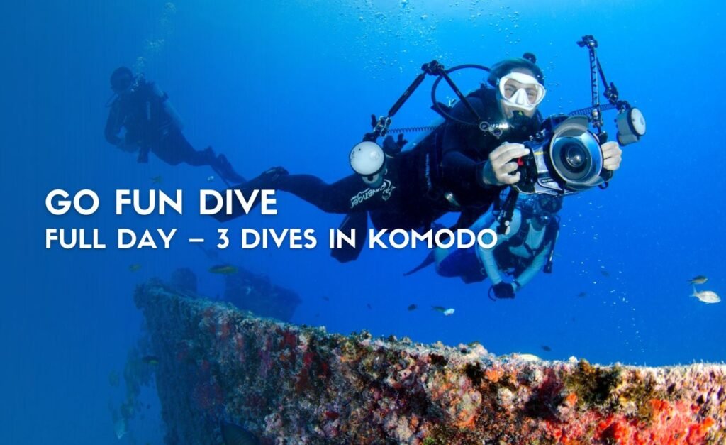 Go Fun Dive Full Day – 3 Dives in Komodo