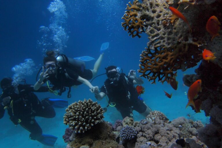 Scuba divers exploring colorful coral reefs and tropical fish while diving in Komodo National Park near Labuan Bajo