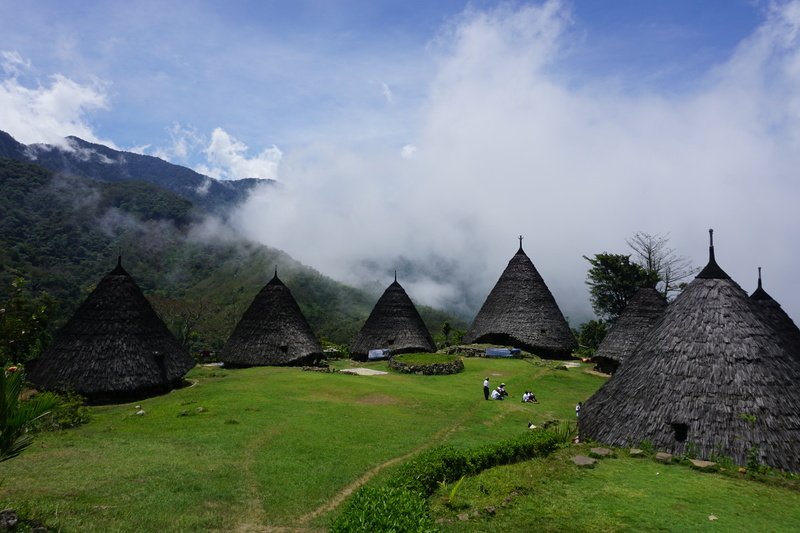 Traditional Mbaru Niang houses in Wae Rebo Village surrounded by mountains and mist, showcasing unique culture in East Nusa Tenggara