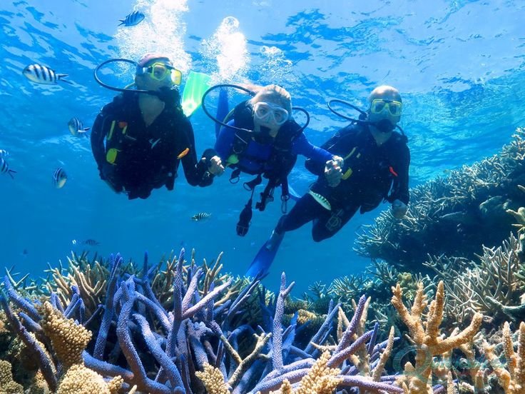 Raja Ampat Luxury Diving Trip – Phinisi 6D7N -Scuba Diving in Goa Memorable To Experience