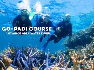hree scuba divers participating in a PADI Advanced Open Water Diver course swimming above a vibrant coral reef with clear blue water and tropical fish surrounding them.