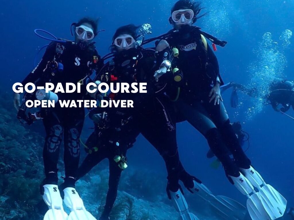 Beginner divers training during Professional Association of Diving Instructors Open Water Diver course, practicing underwater skills with full scuba gear in clear ocean.