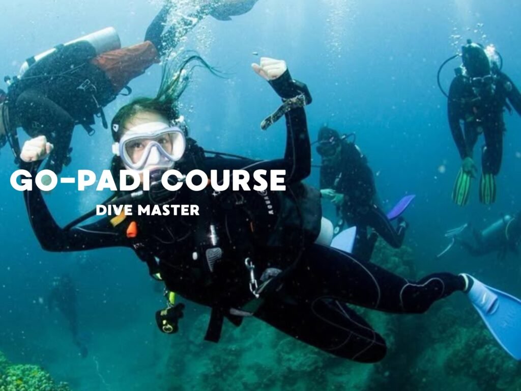 go padi course dive master-visitlabuanbajokomodo
