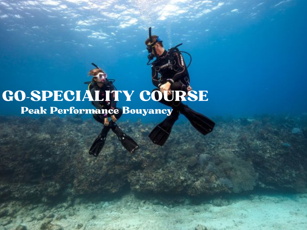 Two scuba divers practicing buoyancy control underwater during a Peak Performance Buoyancy specialty course above a coral reef.