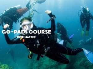 go padi course dive master-visitlabuanbajokomodo