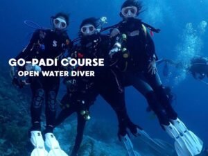 Beginner divers training during Professional Association of Diving Instructors Open Water Diver course, practicing underwater skills with full scuba gear in clear ocean.