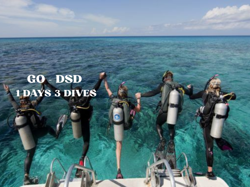 Beginner divers jumping into clear blue water during Discover Scuba Diving (DSD) 1 day 3 dives trip in Komodo National Park from a boat.