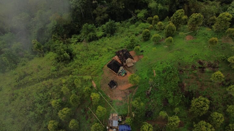 Aerial view of an eco stay in Flores surrounded by lush tropical forest near Labuan Bajo, featuring traditional bamboo huts and sustainable nature tourism.