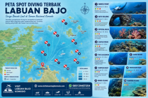 Infografis peta spot diving terbaik di Labuan Bajo menampilkan lokasi diving populer seperti Manta Point, Batu Bolong, Crystal Rock, hingga Kanawa Island lengkap dengan tingkat kedalaman dan kategori diver bersama Visit Labuan Bajo Komodo.