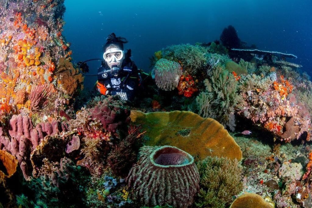 Scuba diver exploring a vibrant coral reef in Labuan Bajo, Indonesia, surrounded by colorful soft corals, giant sponges, and diverse marine life in crystal-clear waters near Komodo National Par