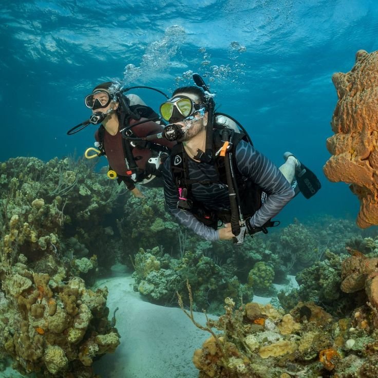 Couple scuba diving in Labuan Bajo exploring colorful coral reefs and crystal-clear waters with Visit Labuan Bajo Komodo.